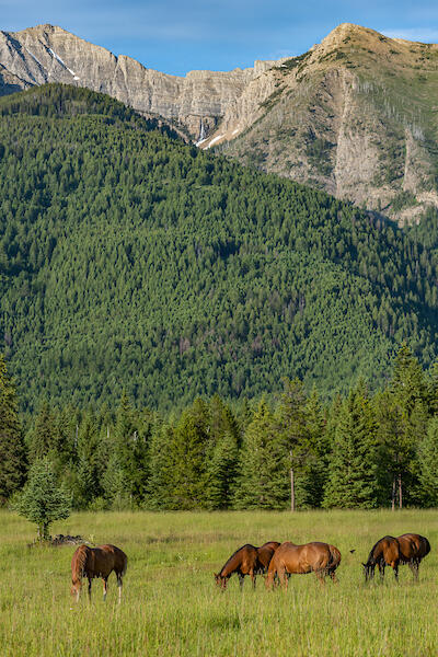 2705 Rumble Creek Road