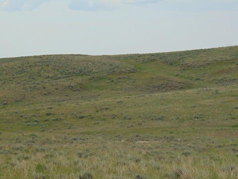 Tiny photo for 80 Wilder Trail, Lewistown, MT 59457 (MLS # 30072229)
