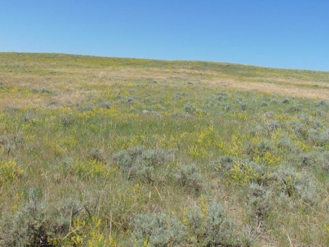 Tiny photo for 80 Wilder Trail, Lewistown, MT 59457 (MLS # 30072229)