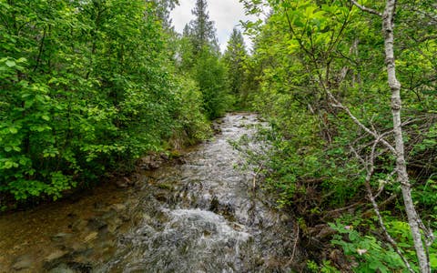 Tiny photo for 104 and 108 Remington Road, Noxon, MT 59853 (MLS # 30071257)