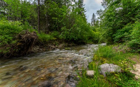 Tiny photo for 104 and 108 Remington Road, Noxon, MT 59853 (MLS # 30071257)