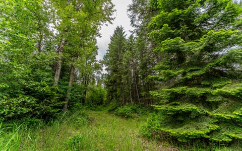 Tiny photo for 104 and 108 Remington Road, Noxon, MT 59853 (MLS # 30071257)