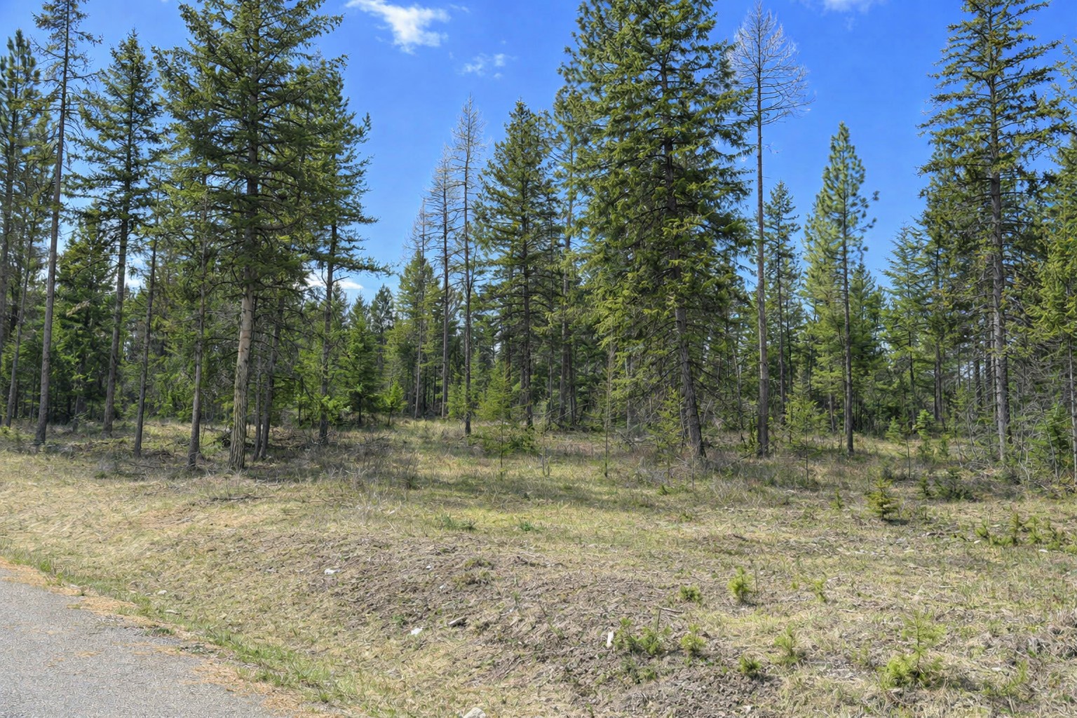 80 Blaney Lane Lot-31