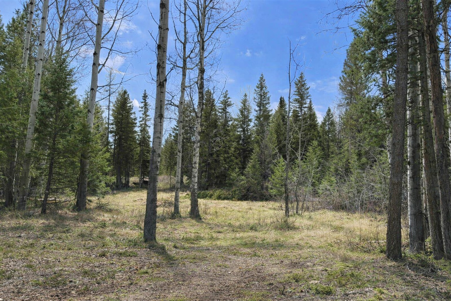 80 Blaney Lane Lot-31