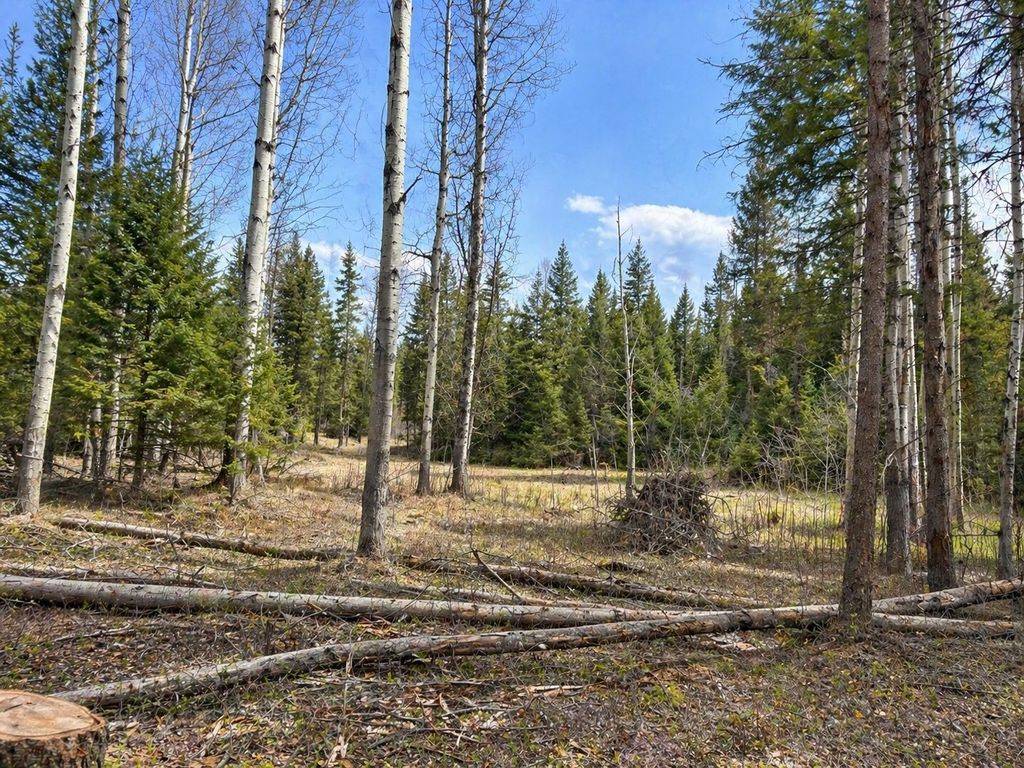Photo of 80 Blaney Lane #Lot-31, Kila, MT 59920 (MLS # 30069599)