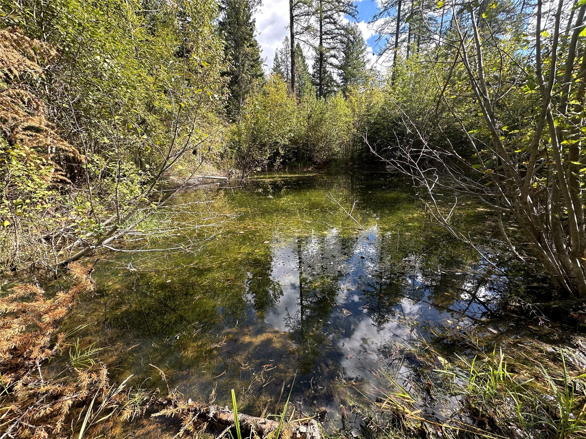 Missoula, Montana 59808, United States, 4 Bedrooms Bedrooms, ,2 BathroomsBathrooms,Residential,Active,41490