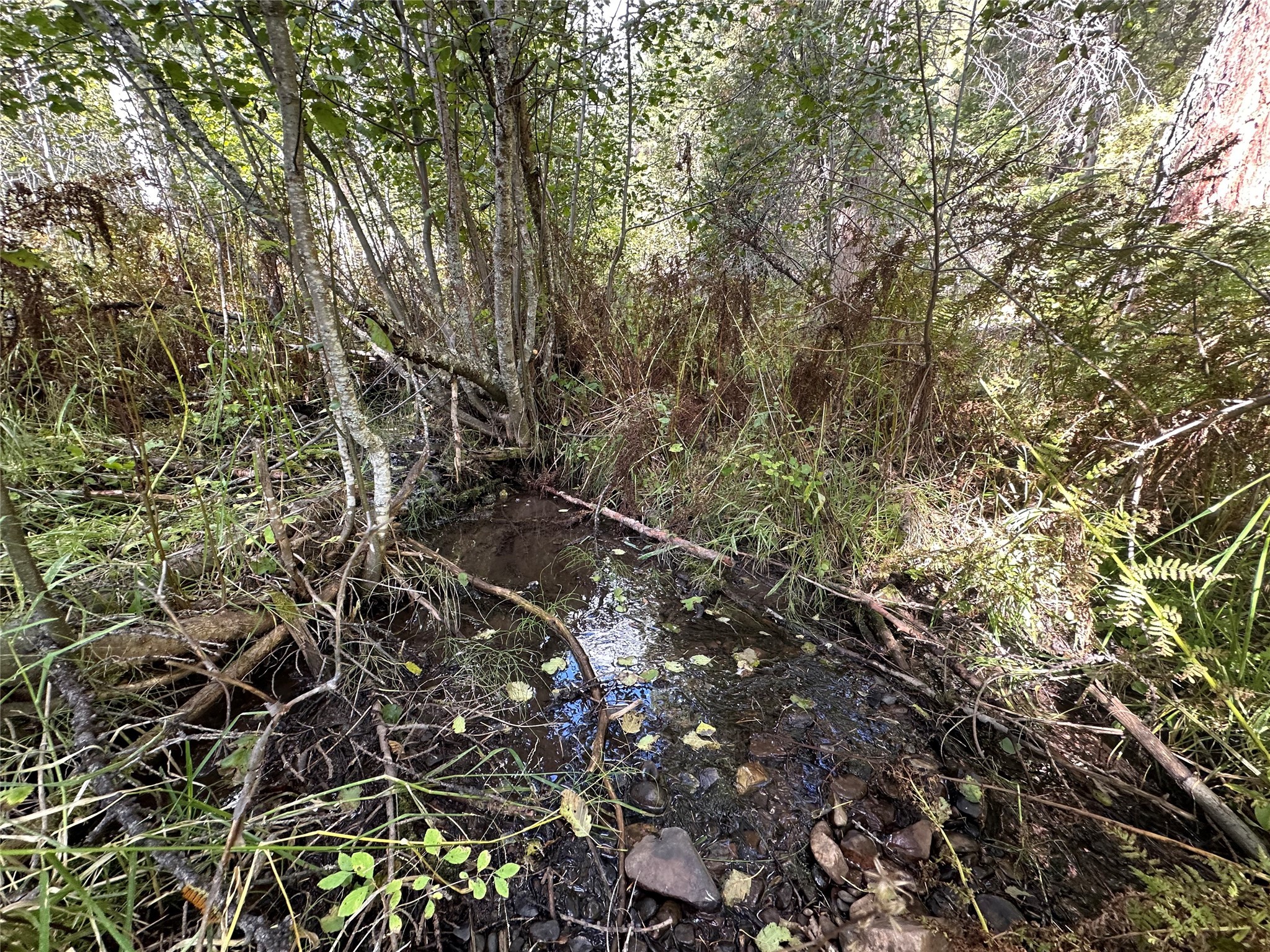 Missoula, Montana 59808, United States, 4 Bedrooms Bedrooms, ,2 BathroomsBathrooms,Residential,Active,41490