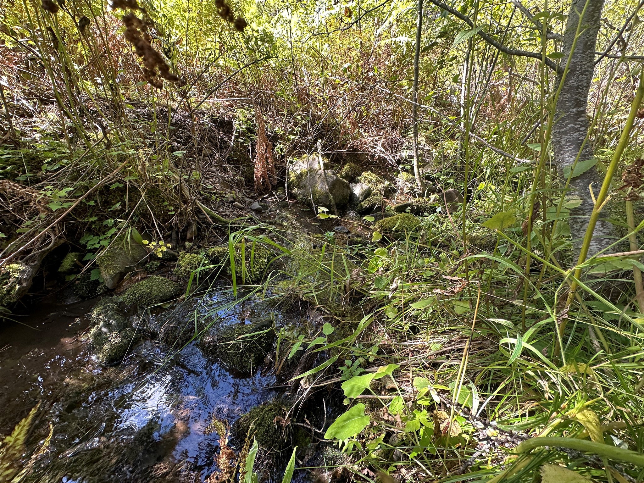 Missoula, Montana 59808, United States, 4 Bedrooms Bedrooms, ,2 BathroomsBathrooms,Residential,Active,41490