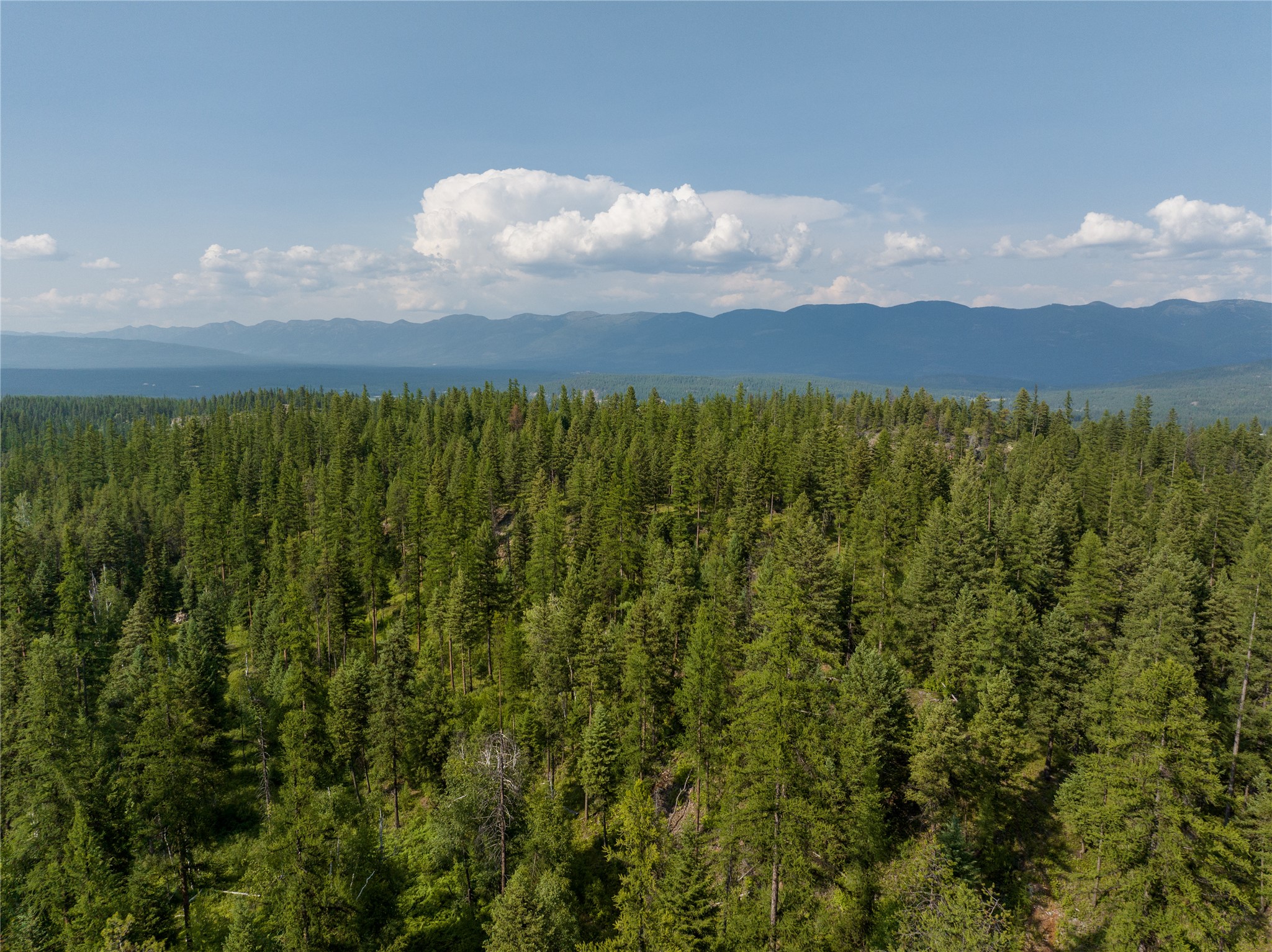 2290 Mountain Home Road