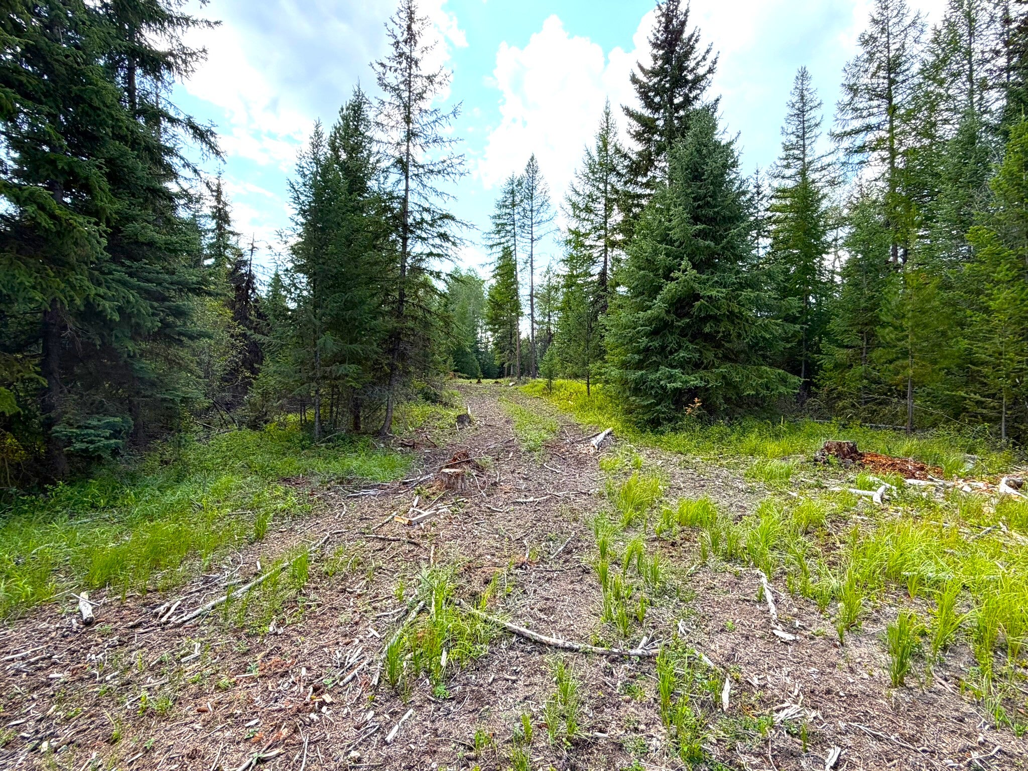 468 Haskill Ranch Road