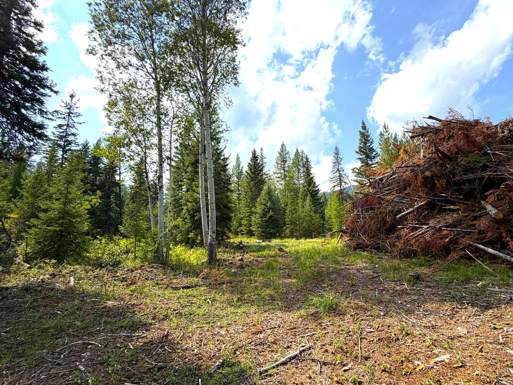 468 Haskill Ranch Road