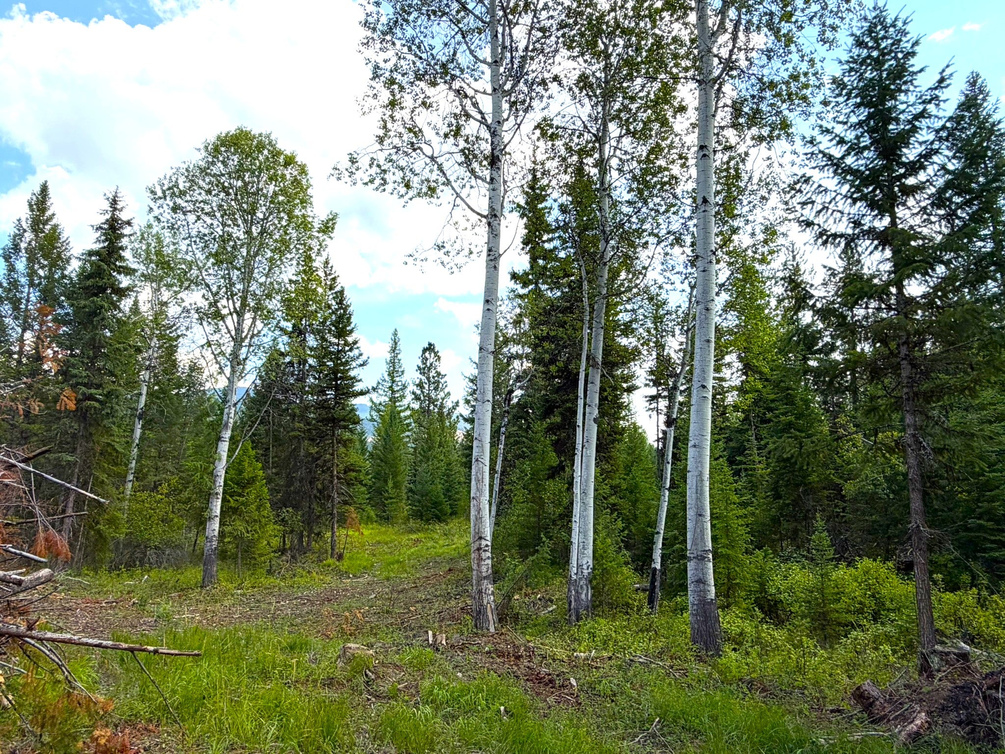 468 Haskill Ranch Road