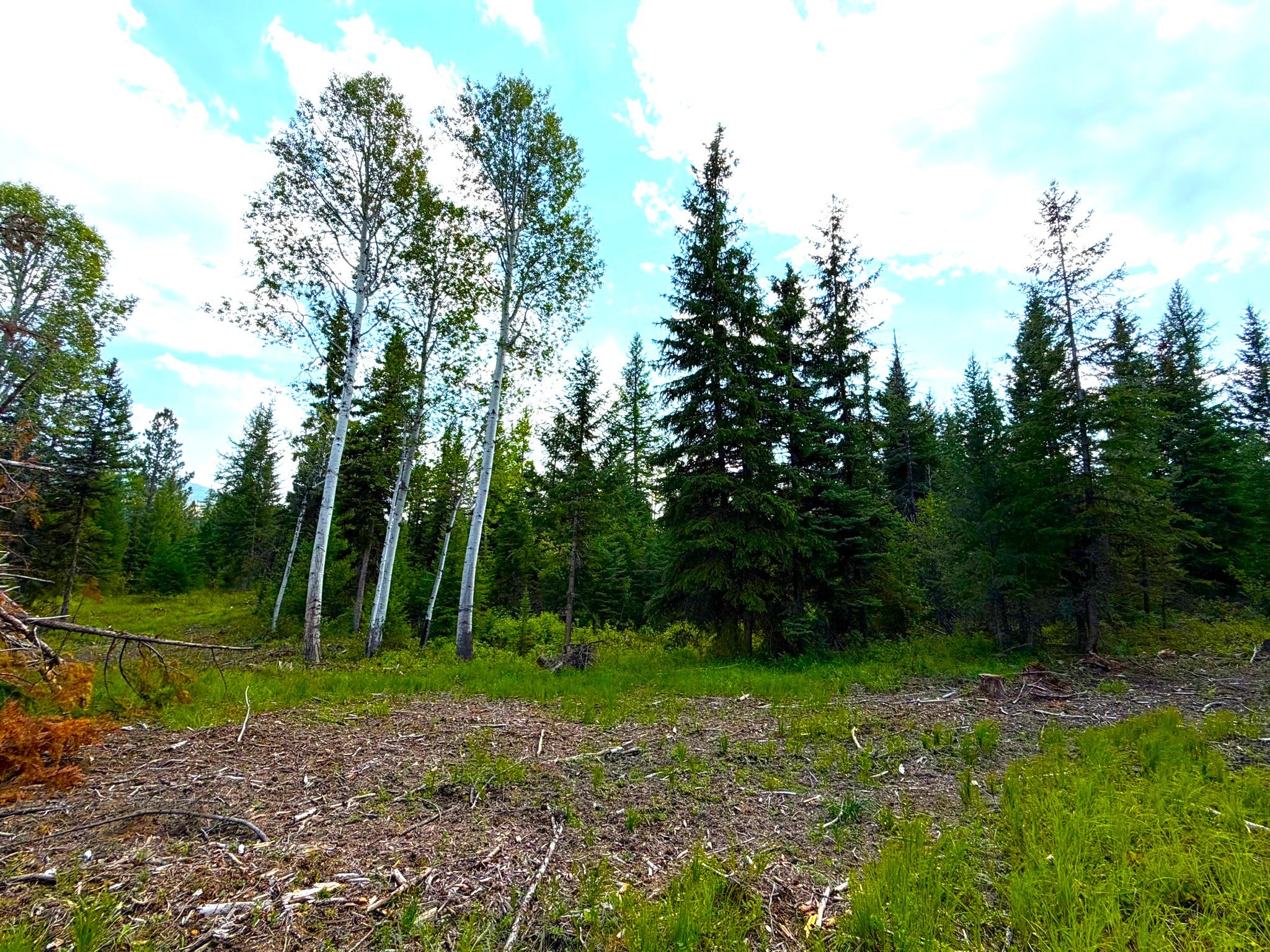 468 Haskill Ranch Road
