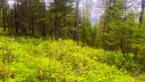 Tiny photo for NHN Nighthawk Drive, Frenchtown, MT 59834 (MLS # 30070722)