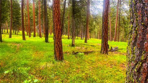 Tiny photo for NHN Nighthawk Drive, Frenchtown, MT 59834 (MLS # 30070722)
