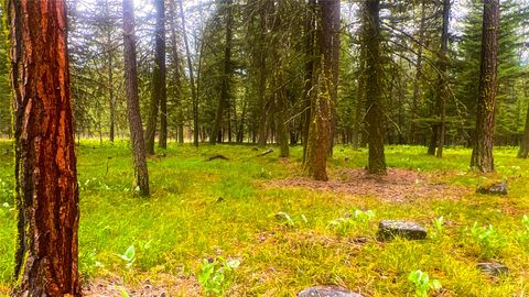 Tiny photo for NHN Nighthawk Drive, Frenchtown, MT 59834 (MLS # 30070722)