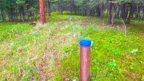 Tiny photo for NHN Nighthawk Drive, Frenchtown, MT 59834 (MLS # 30070722)