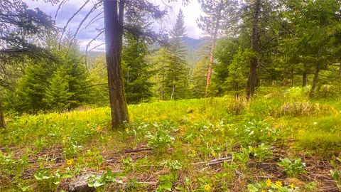 Tiny photo for NHN Nighthawk Drive, Frenchtown, MT 59834 (MLS # 30070722)