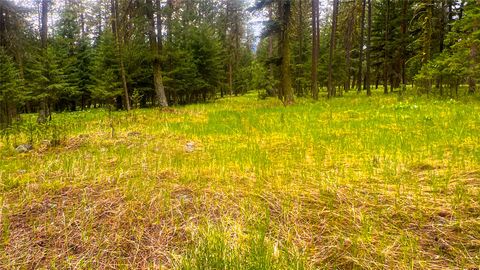 Tiny photo for NHN Nighthawk Drive, Frenchtown, MT 59834 (MLS # 30070722)