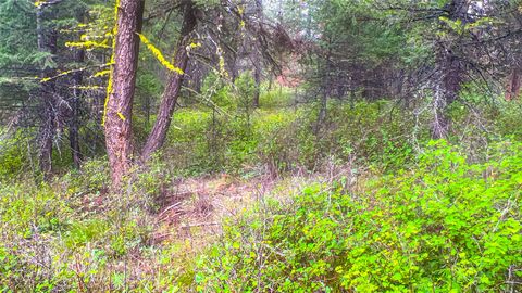 Tiny photo for NHN Nighthawk Drive, Frenchtown, MT 59834 (MLS # 30070722)