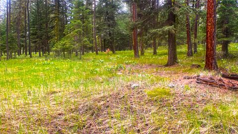 Tiny photo for NHN Nighthawk Drive, Frenchtown, MT 59834 (MLS # 30070722)
