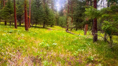 Tiny photo for NHN Nighthawk Drive, Frenchtown, MT 59834 (MLS # 30070722)