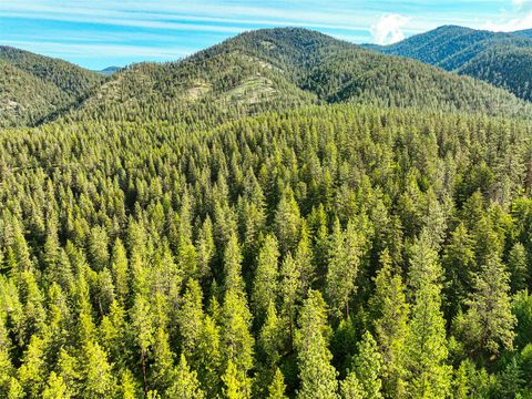 Tiny photo for NHN Nighthawk Drive, Frenchtown, MT 59834 (MLS # 30070722)