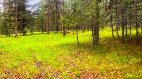 Tiny photo for NHN Nighthawk Drive, Frenchtown, MT 59834 (MLS # 30070722)
