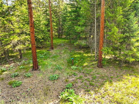 Tiny photo for NHN Nighthawk Drive, Frenchtown, MT 59834 (MLS # 30070722)