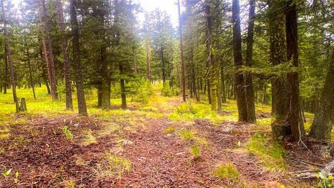 Tiny photo for NHN Nighthawk Drive, Frenchtown, MT 59834 (MLS # 30070722)