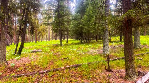 Tiny photo for NHN Nighthawk Drive, Frenchtown, MT 59834 (MLS # 30070722)