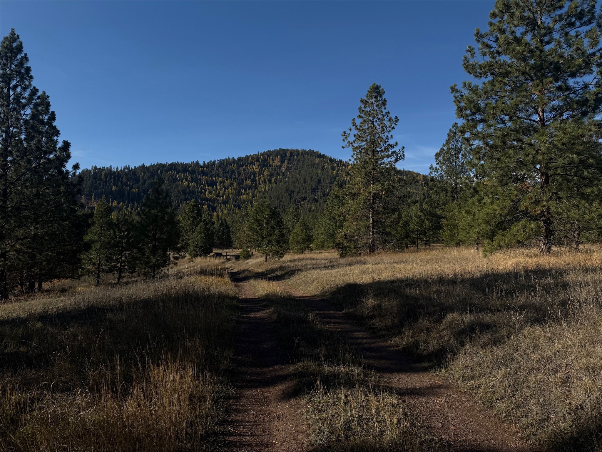 Parcel 1C Dry Gulch Road