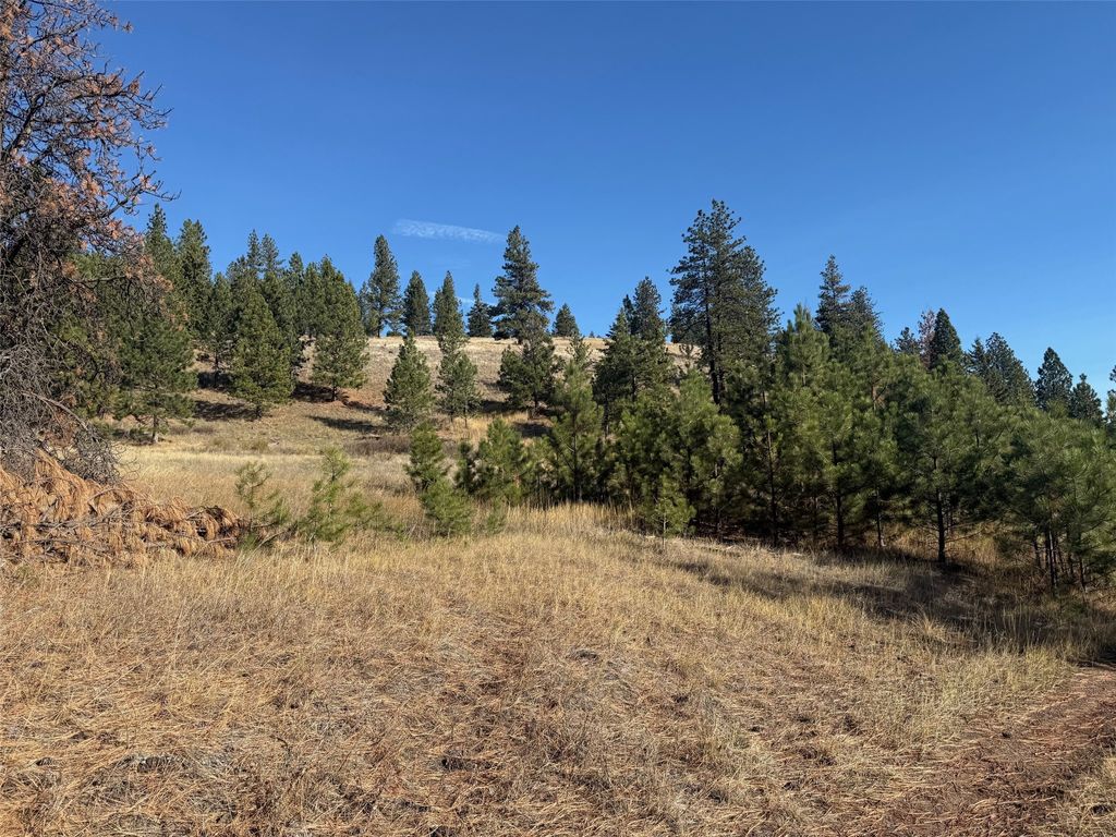 Photo of Parcel 1C Dry Gulch Road, Missoula, MT 59804 (MLS # 30063456)