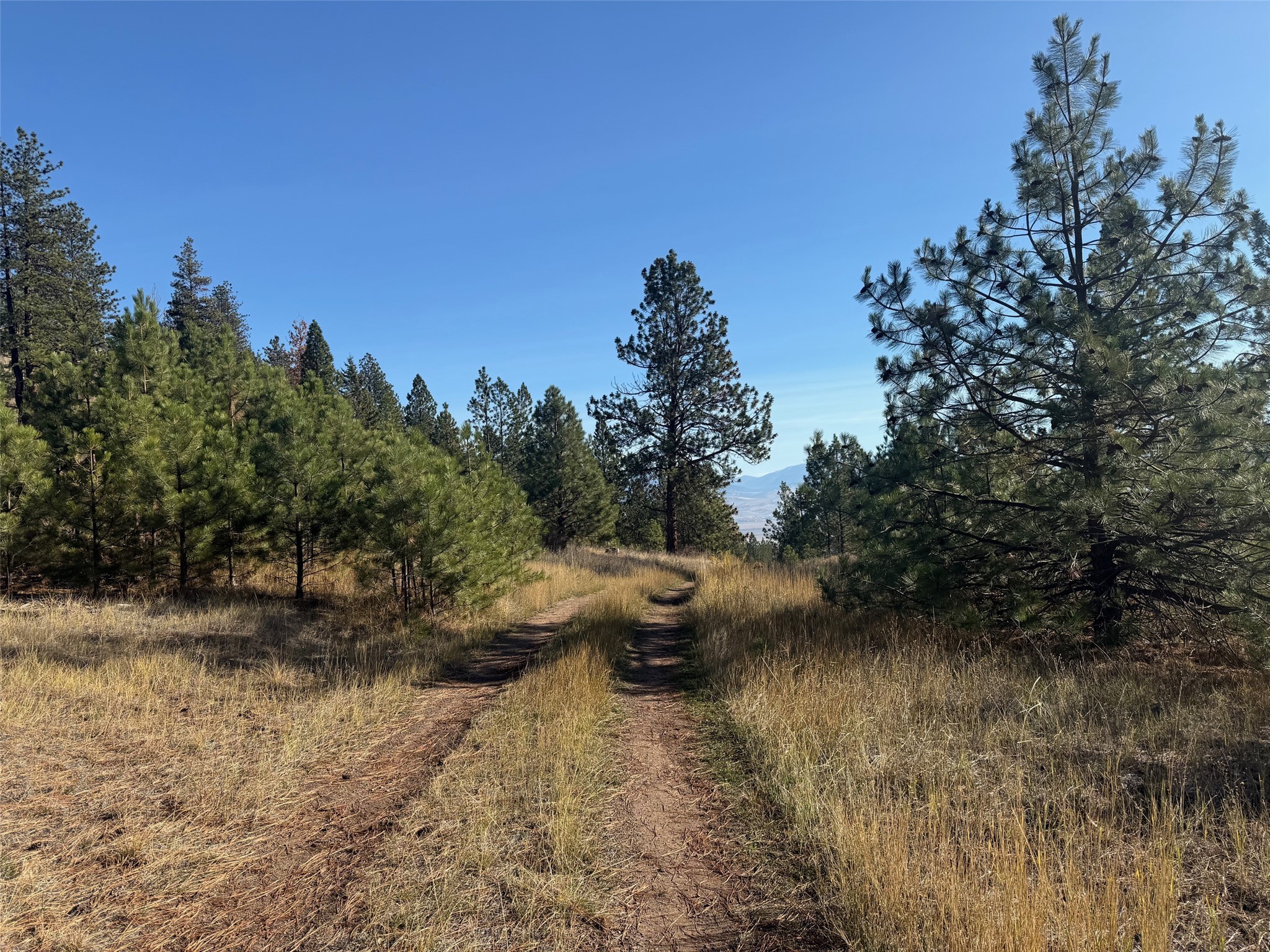 Parcel 1C Dry Gulch Road