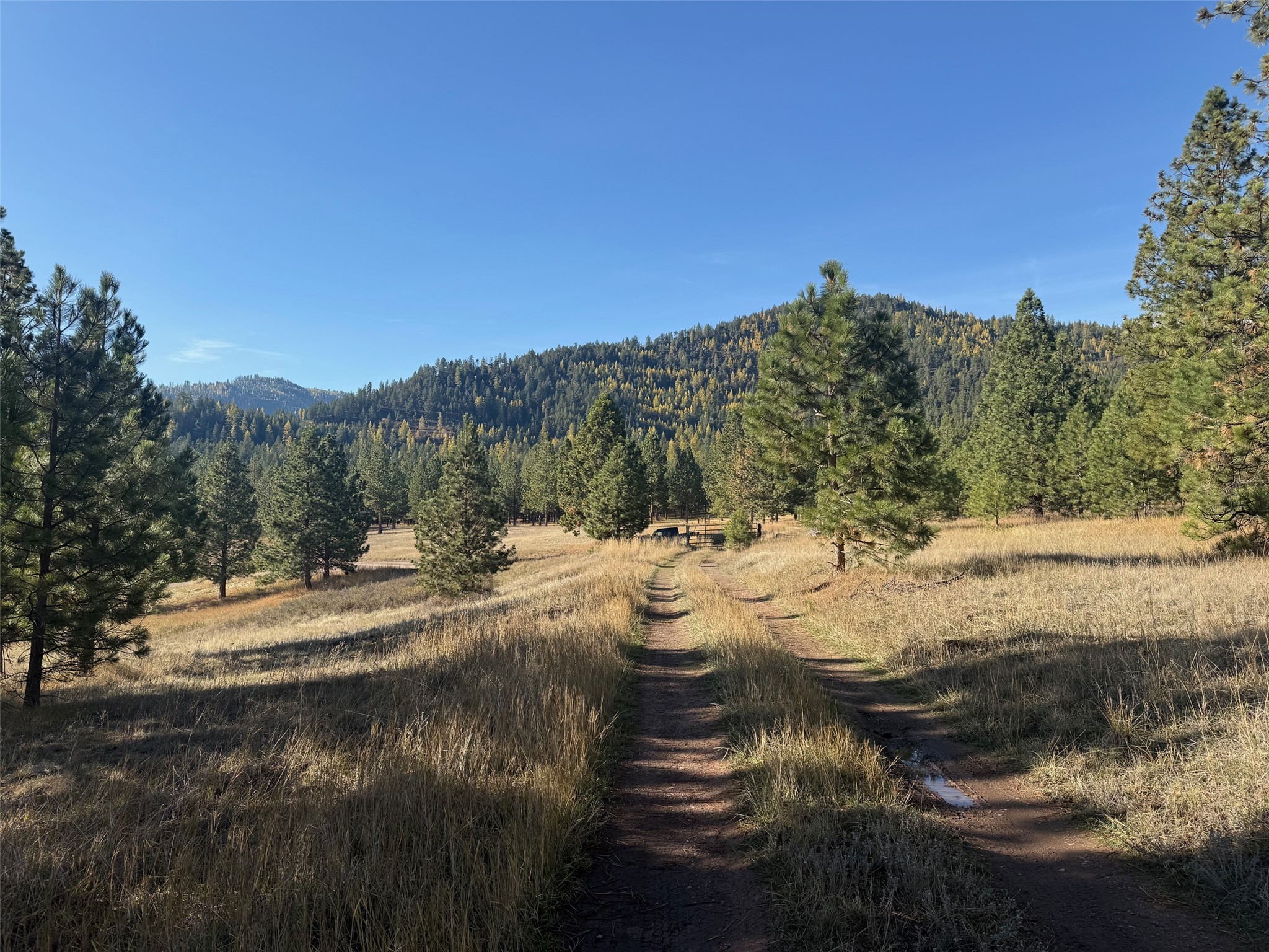 Parcel 1C Dry Gulch Road