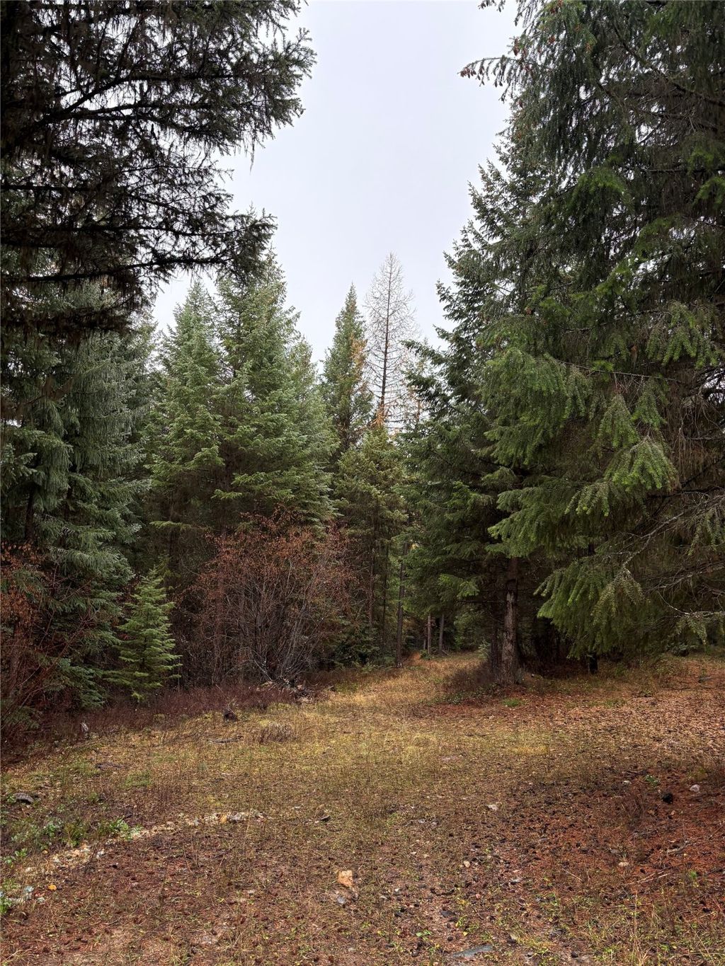 Photo of 191 Hammond Valley Road, Trego, MT 59934 (MLS # 30062093)