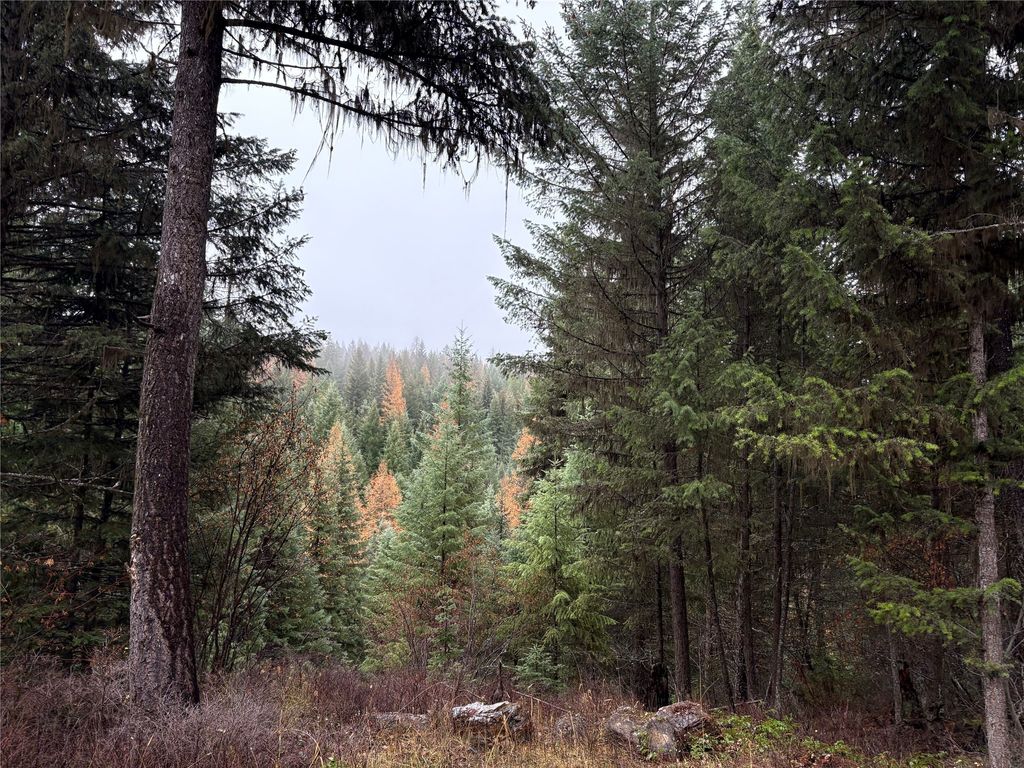 Photo of 191 Hammond Valley Road, Trego, MT 59934 (MLS # 30062093)