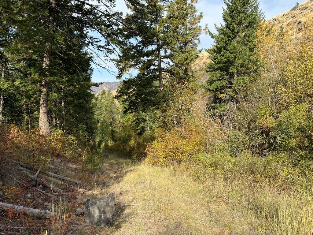 Photo of nhn McLaughlin Creek Road, Paradise, MT 59856 (MLS # 30080100)