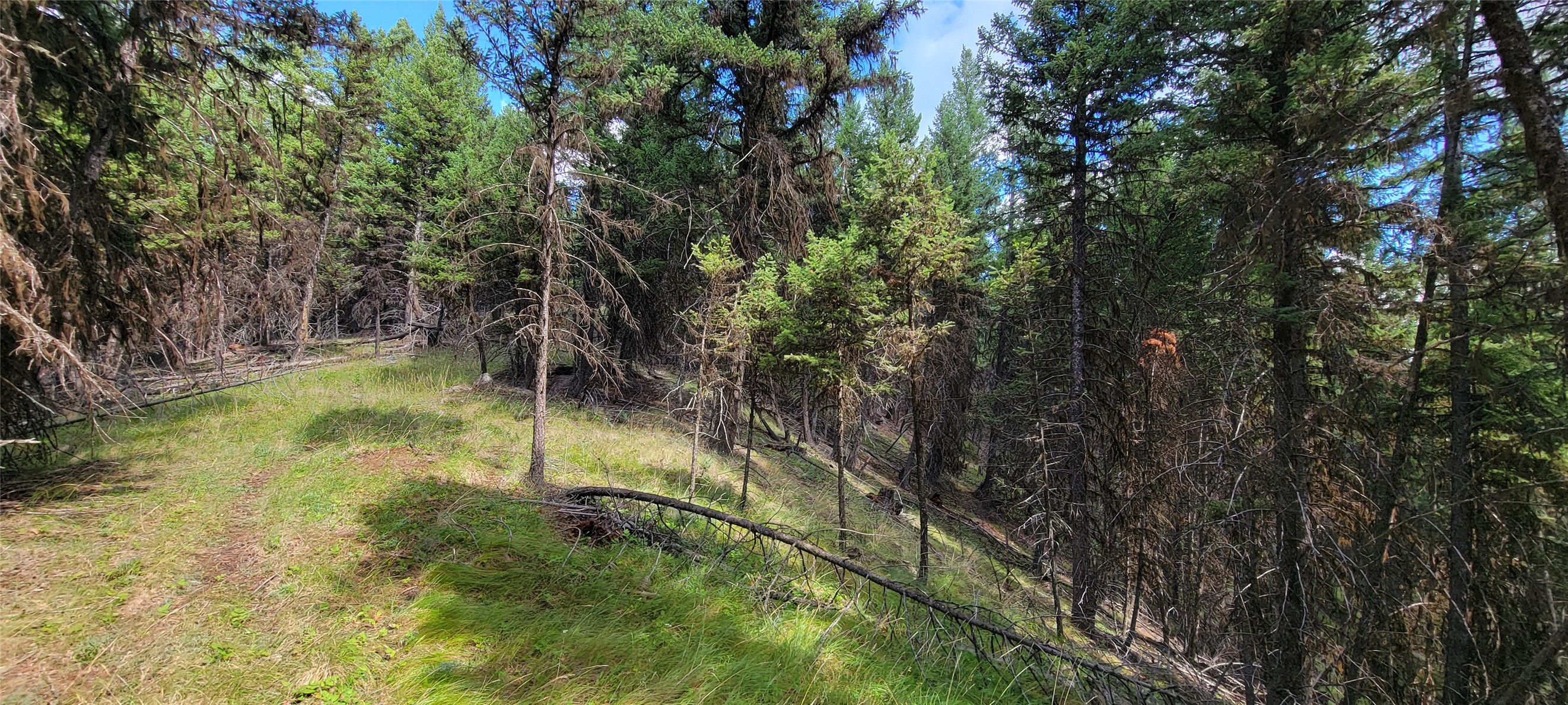 1280 Rogers Lake Road
