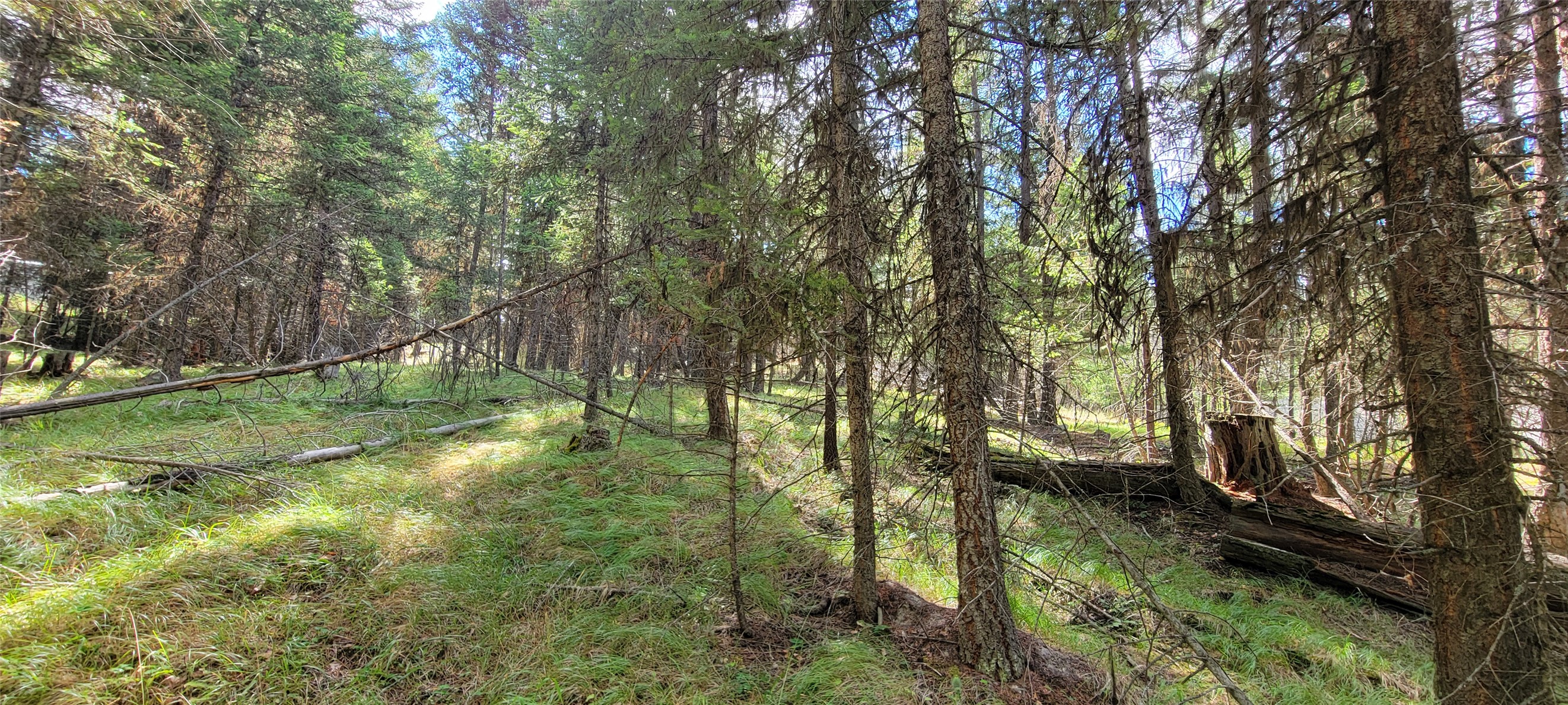 1280 Rogers Lake Road