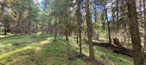 Tiny photo for 1280 Rogers Lake Road, Kila, MT 59920 (MLS # 30069718)