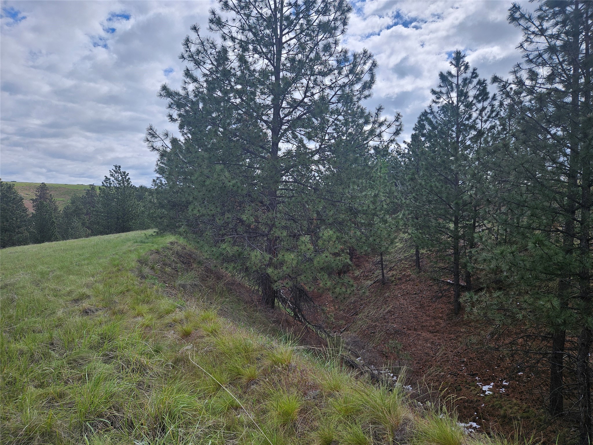 Florence, Montana 59833, United States, ,Land,Pending,56930
