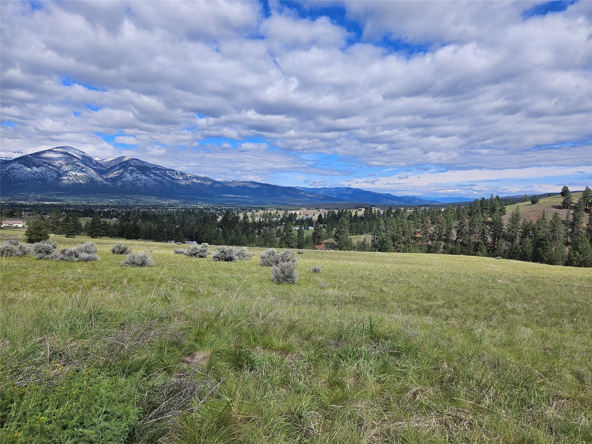 Florence, Montana 59833, United States, ,Land,Pending,56930