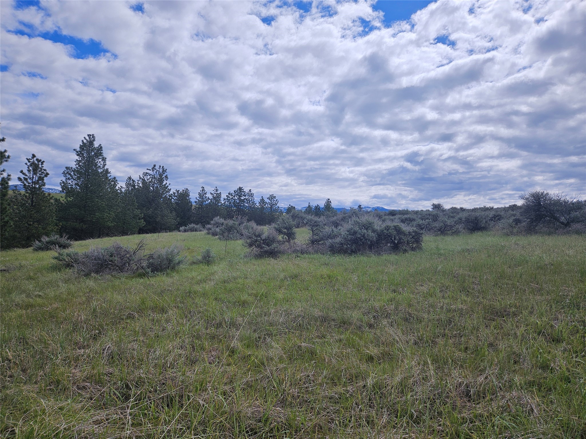 Florence, Montana 59833, United States, ,Land,Pending,56930