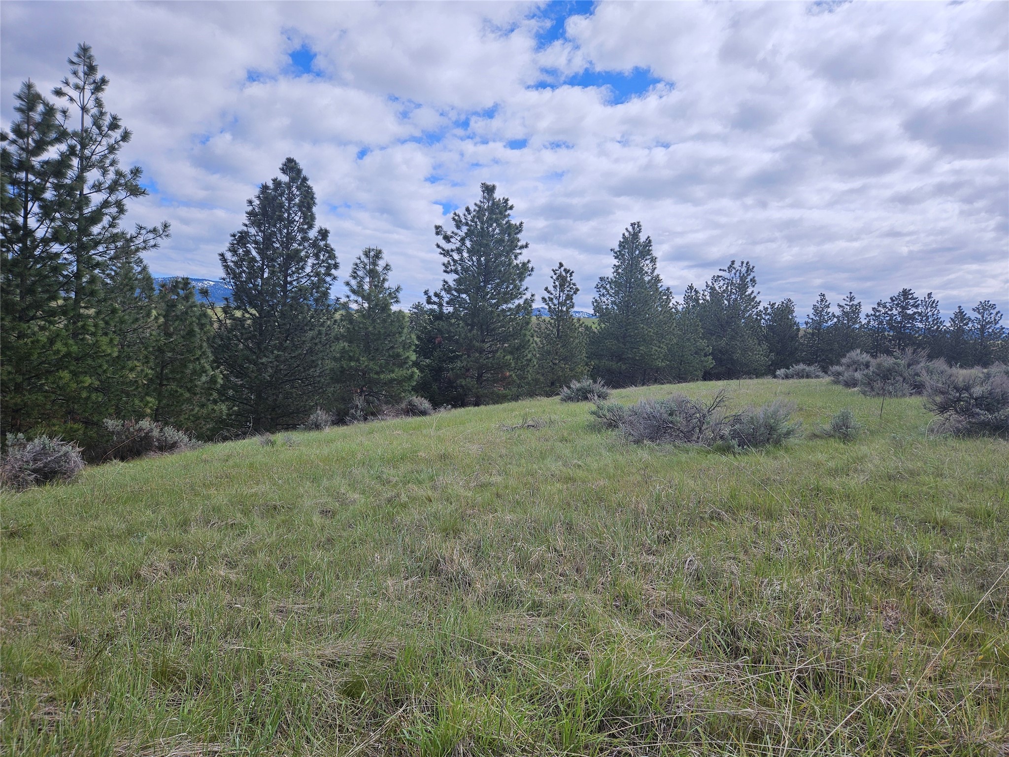 Florence, Montana 59833, United States, ,Land,Pending,56930