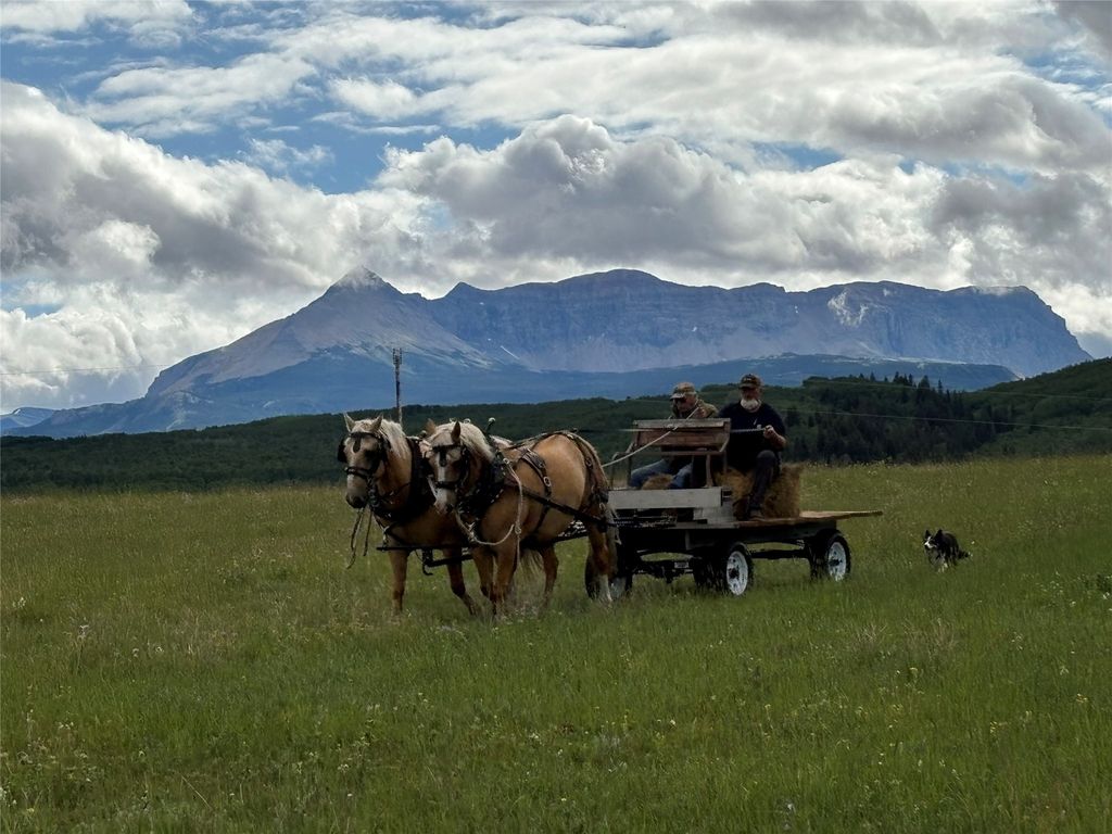 Photo of 1 Boulder Drive, Babb, MT 59411 (MLS # 30024279)