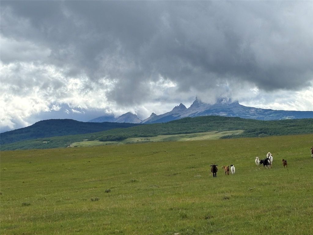 Photo of 1 Boulder Drive, Babb, MT 59411 (MLS # 30024279)