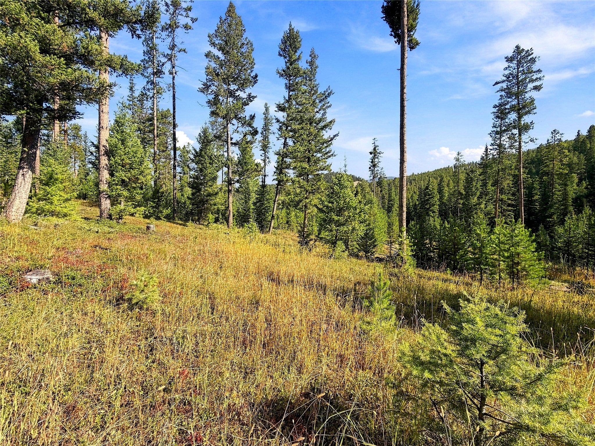 Lot 14 Georgetown Lake Estates