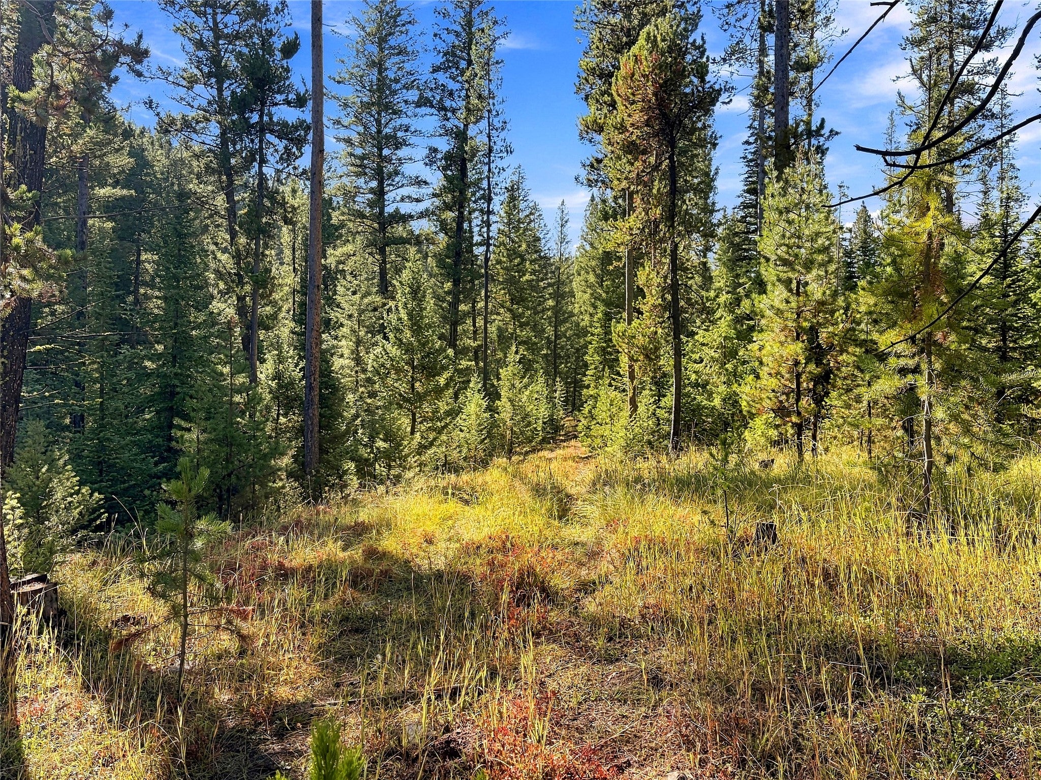 Lot 14 Georgetown Lake Estates