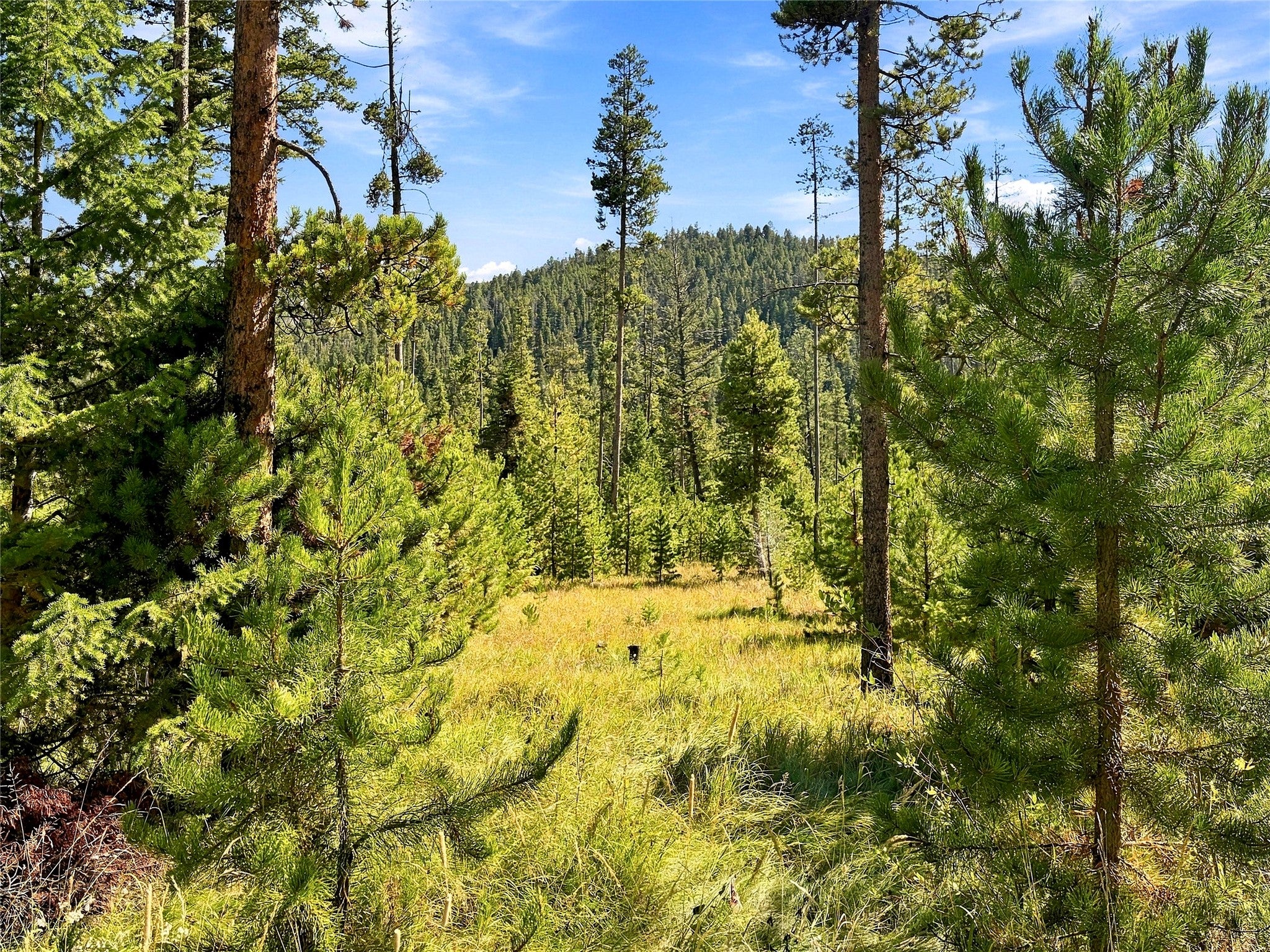 Lot 14 Georgetown Lake Estates